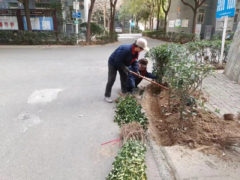 亞太物業(yè) ▏植樹節(jié)?“植”此青綠，不負(fù)春光