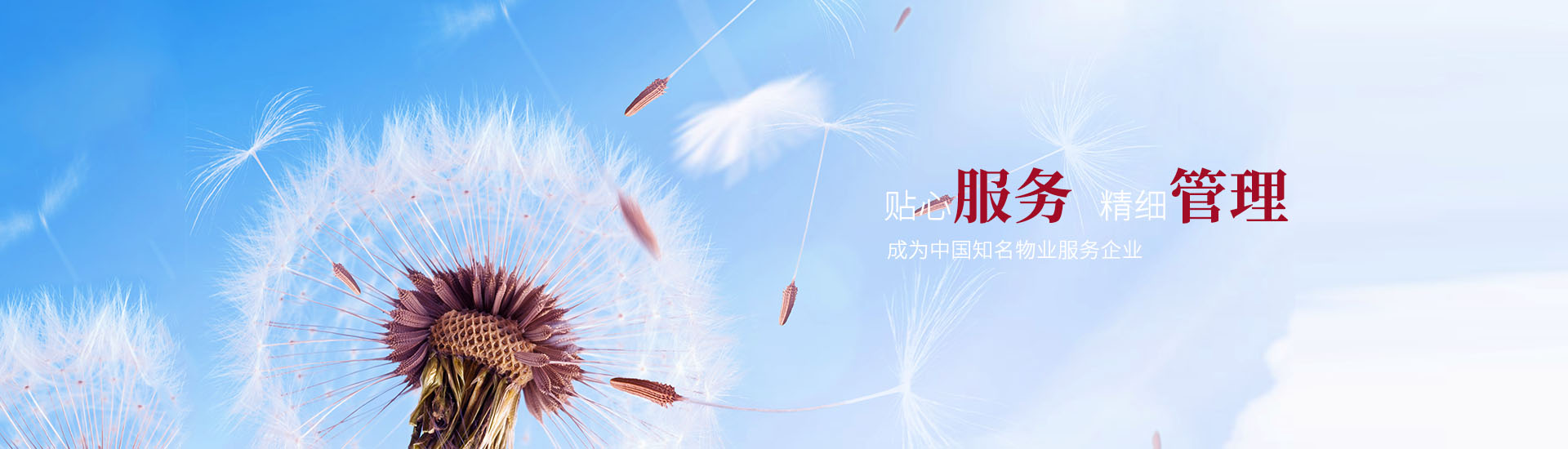 PC端幻燈一